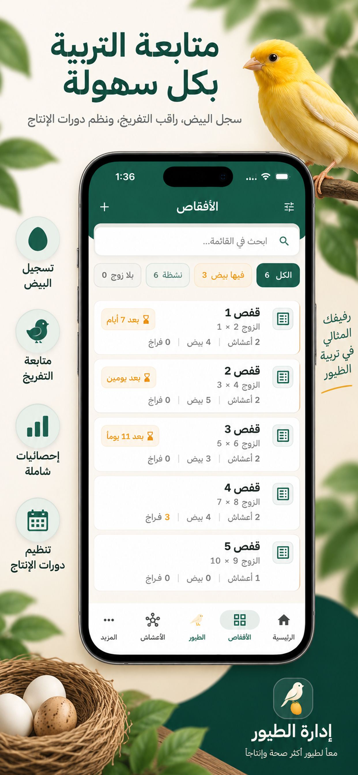 شاشة الأقفاص: كل قفصٍ بزوجه وأعشاشه وبيضه
