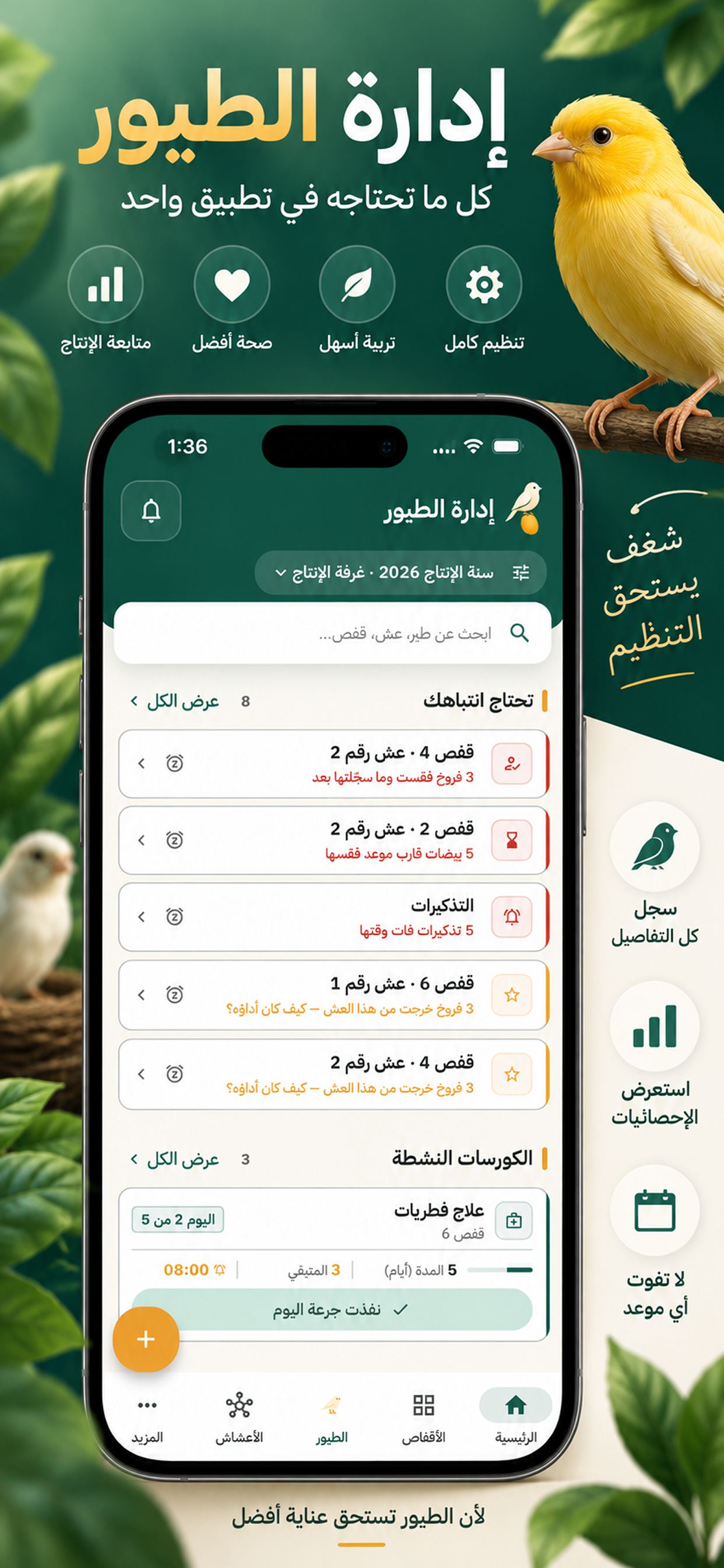 الشاشة الرئيسية في تطبيق طير: «تحتاج انتباهك» بثمانية بنود، والكورسات النشطة